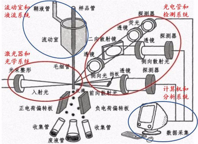 临床流式检测：“仰望星空”还是“脚踩大地”？