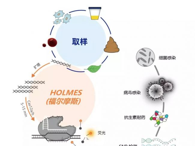 下一代分子诊断技术如何助力全民健康医药事业发展？