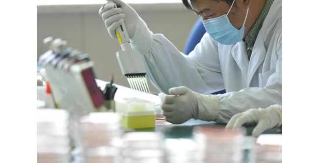 一次血检能预测多种疾病？测了上万份样本 新研究实现概念验证