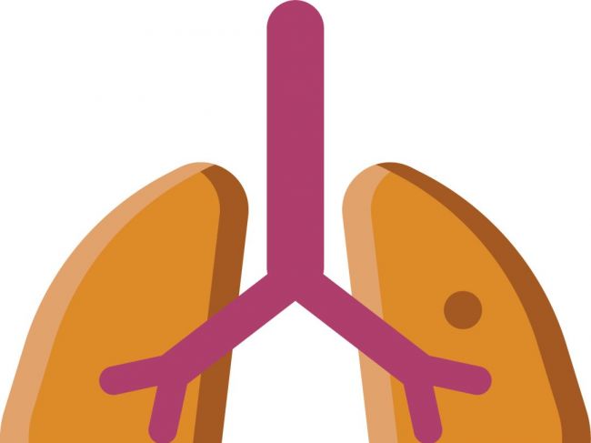 【述评】病原体分子诊断技术在下呼吸道感染诊断中的应用及其价值