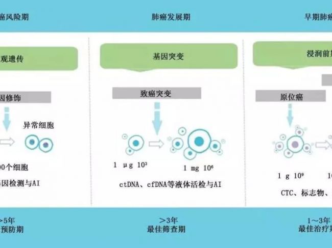 解析丨肺癌筛查与管理中国专家共识