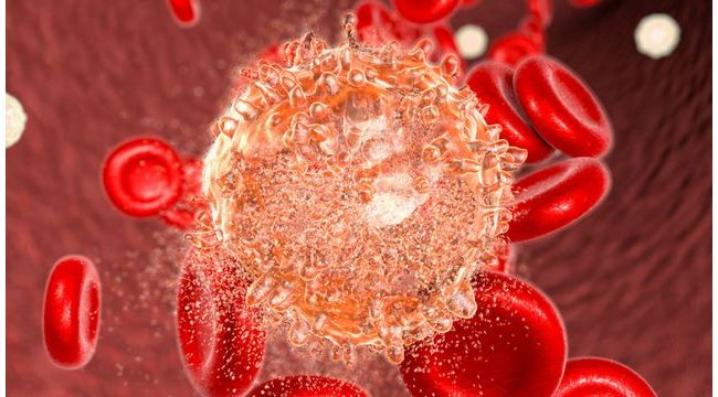 乳腺癌液体活检最新数据揭示ctDNA、CTC在指导靶向用药、预测复发风险等方面临床应用潜 ...