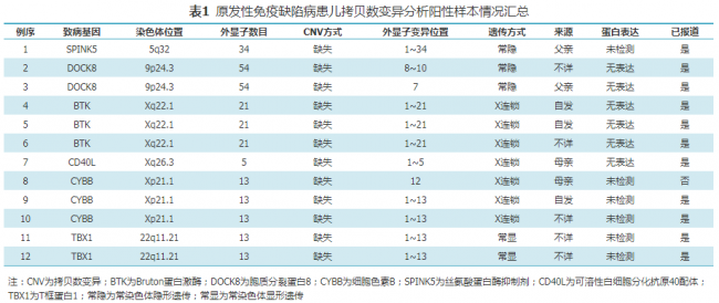 基于二代测序原始数据的拷贝数变异分析在原发性免疫缺陷病分子诊断中的应用