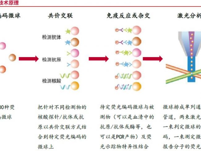 液相芯片技术行业研究
