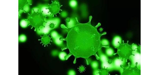 2019新型冠状病毒肺炎临床实验室检测的生物安全防护指南（试行第一版）