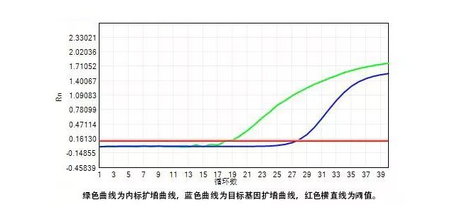 器审中心 | 一文读懂新型冠状病毒的核酸检测！