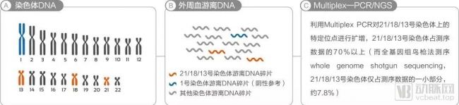 赛雷纳：突破关键技术难点，助力新一代无创产检更精准、易普及