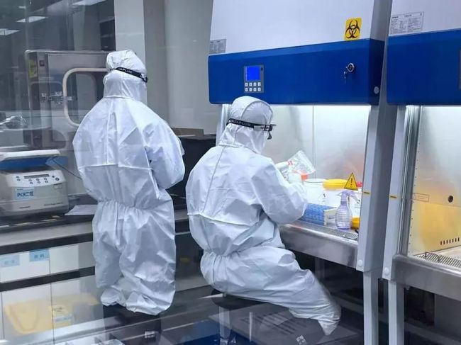 华大、金域、迪安、艾迪康、千麦等ICL“出击”！扛起新冠状病毒检测存量重任！