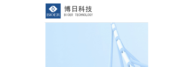 杭州博日科技有限公司