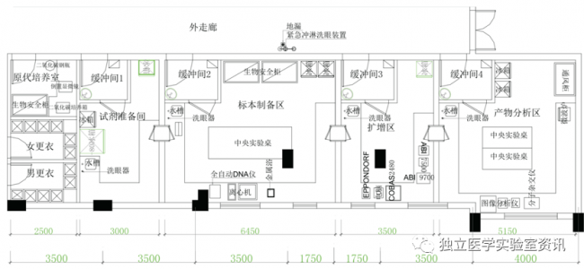 一文读懂PCR实验室建设关键点