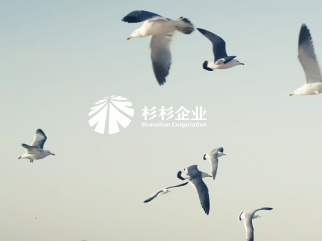 杉杉企业