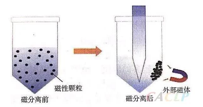助力疫情，国内外核酸提取仪产品目录