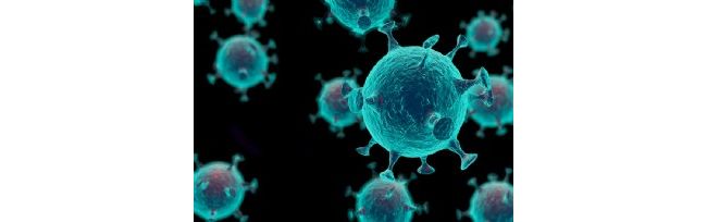 美科学家称纽约病例多源自欧洲，洛杉矶5%流感样病例实患新冠，疫情拐点周日到来