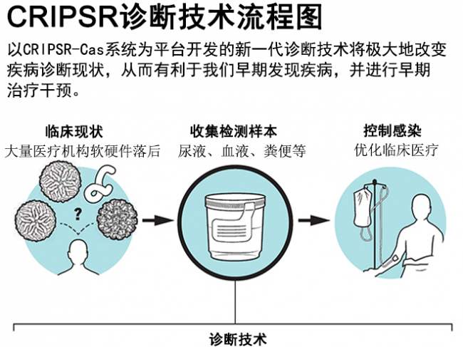 CRISPR技术正当红，我们来科普一下