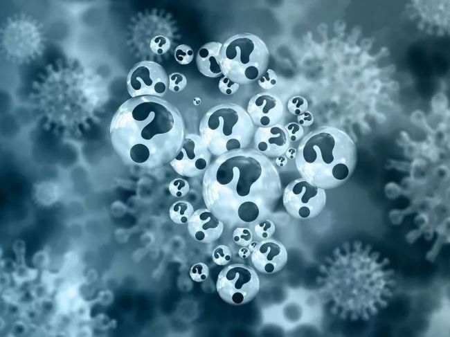 bioRxiv：截至目前，新冠病毒的突变似乎并没有增加其传播力