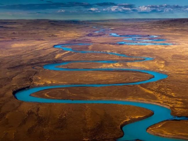 Nature | 各国防控新冠再爆发，基因科技显身手