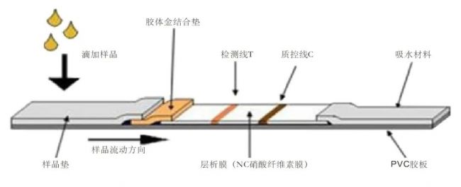 胶体金检测试纸条很low吗？只能说你too young，too simple