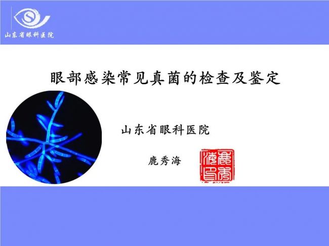 【真菌形色】眼部感染常见真菌的检查及鉴定