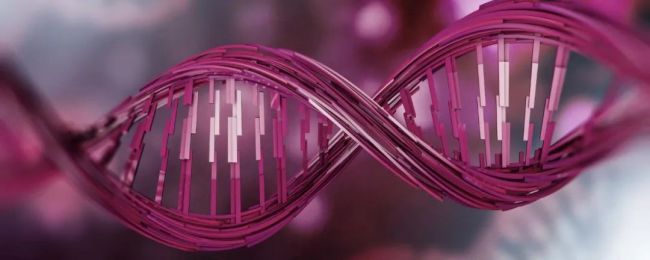 Nat Biotechnol发表“双重读取纳米孔”研究成果，有望提升单分子纳米孔测序精度