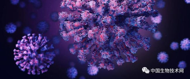 Science：进化超级慢的新冠病毒，到现在变得如何了？