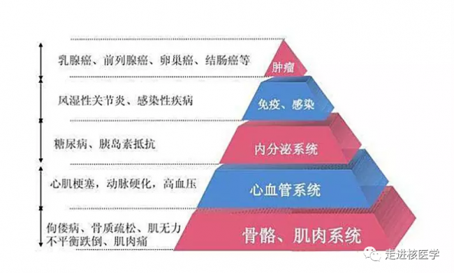 核医学科新项目之——25-羟基维生素D