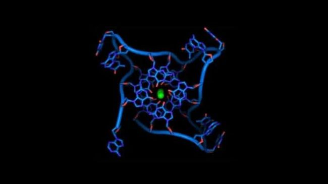 又双叒登Nature子刊！四链DNA结构首次在乳腺癌细胞中发现
