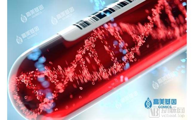 高美基因完成数千万元Pre-A轮融资，加速布局癌症早检产品上市