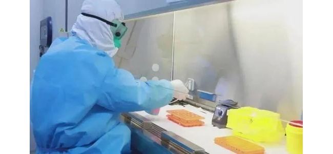 课件 | 新冠病毒核酸检测中的关键问题解答