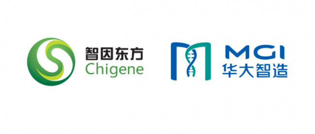 领航WGS诊断新时代！智因东方与华大智造签订战略合作协议