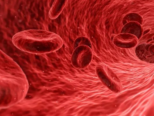 今日《自然》：为什么年纪大了容易生癌？科学家在血液中找出一个关键因素
