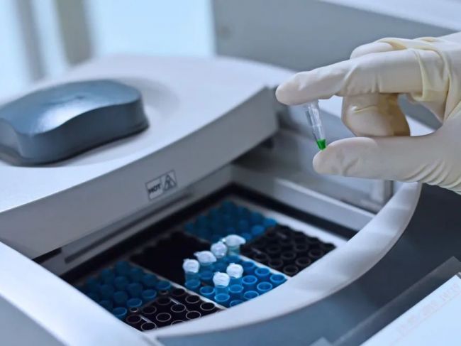 PCR 技术操作流程及注意事项