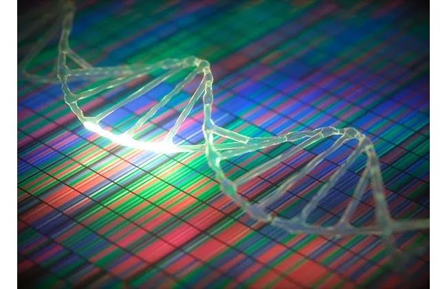 一文读懂核酸分子诊断三大技术：qPCR、二代测序NGS和数字PCR！
