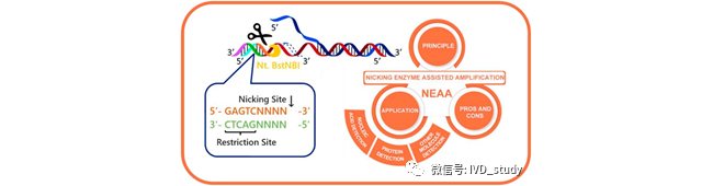 1分钟了解占据等温PCR三成市场的NEAR技术