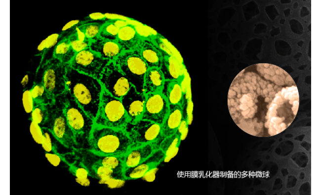 中科森辉微球技术（苏州）有限公司