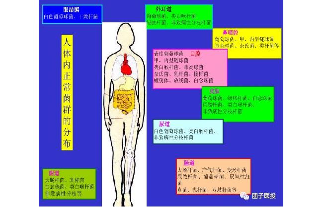 体外诊断（IVD）-微生物诊断简介（T02）