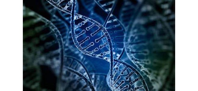 《生物安全法》37次提及“人类遗传资源”！接受遗传办“拷问”已成业内常态