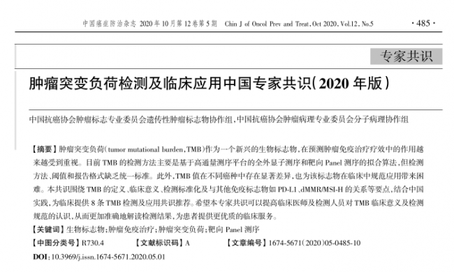 肿瘤突变负荷（TMB）检测及临床应用中国专家共识发布！