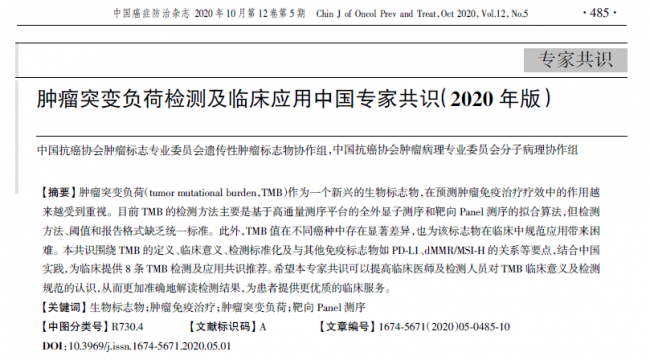 肿瘤突变负荷检测及临床应用中国专家共识（2020年版）