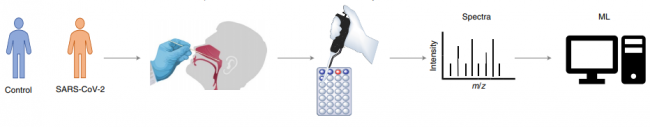 MALDI-TOF MS——诊断SARS-CoV-2感染的潜力股