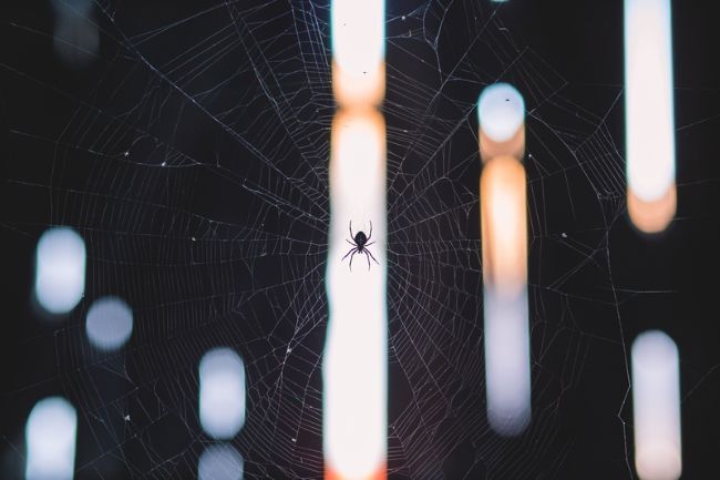 分子实验室污染清理