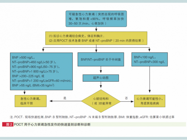 POCT技术检测cTn和BNP/NTproBNP的临床应用，这几点要了解