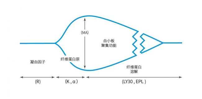 医学拾萃 | 血栓弹力图项目参数及临床应用