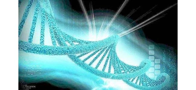 兽医体外诊断的趋势--分子诊断