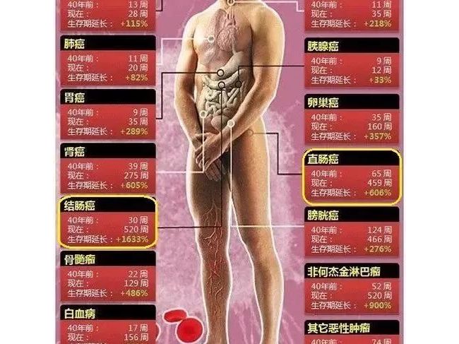 详解粪便潜血检测的结果解读和意义