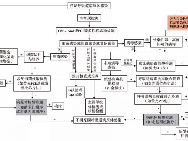 急性呼吸道感染病原体的临床检验诊断路径