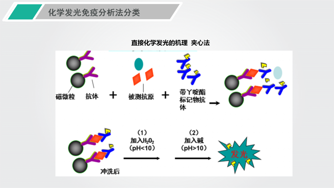 希森美康化学发光法图片