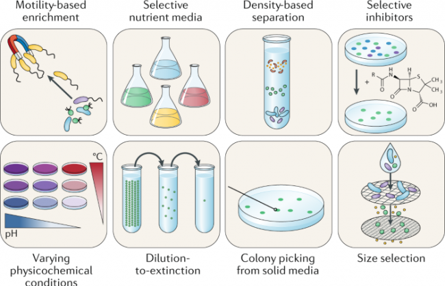 Nature综述：未培养微生物的新兴培养技术