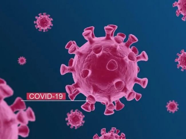 美国FDA：新冠病毒变异有可能导至病毒检测假阴性！