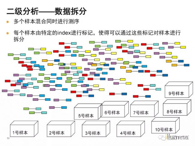 Illumina测序系列丨Illumina 测序技术原理概述