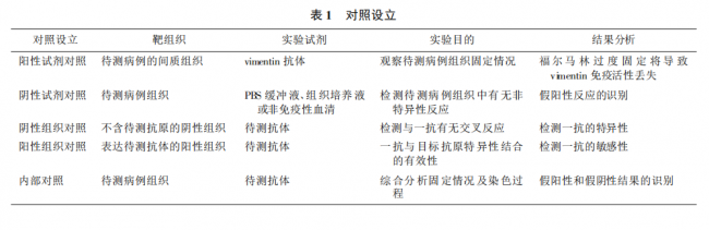 干货 | 免疫组化质量控制之实验质控对照的设立